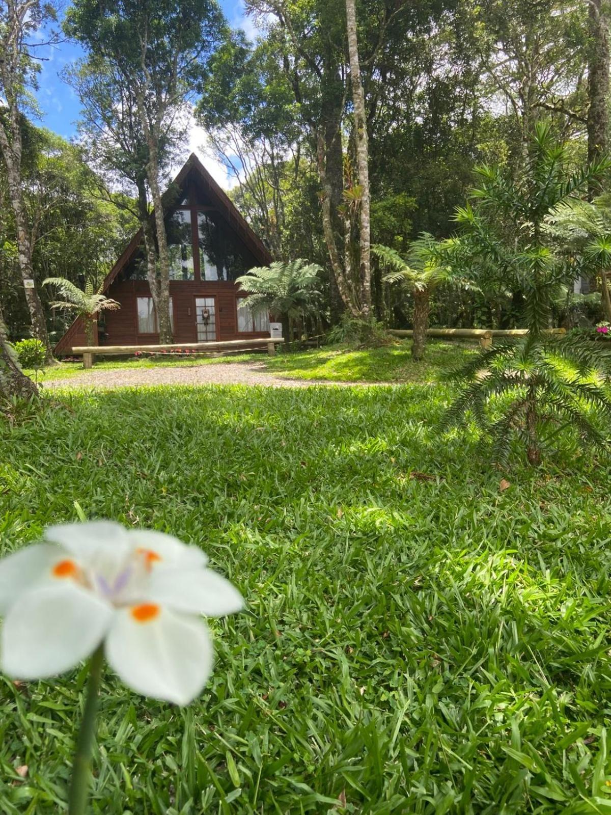 A Cabana Sao Chico São Francisco de Paula Exterior foto